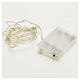 Christmas lights 20 LED lights, bare wire, indoor use, batteries s3