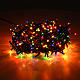 Guirlande de Noël 300 mini ampoules multicolore inté s2