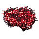 Christmas Lights, 1000 red LED, programmable for outdoor use s1