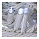 Fairy lights 300 LED, cold white, for outdoor use s3
