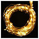 Christmas Lights: branches with 290 micro LED, warm white, indoor use s1