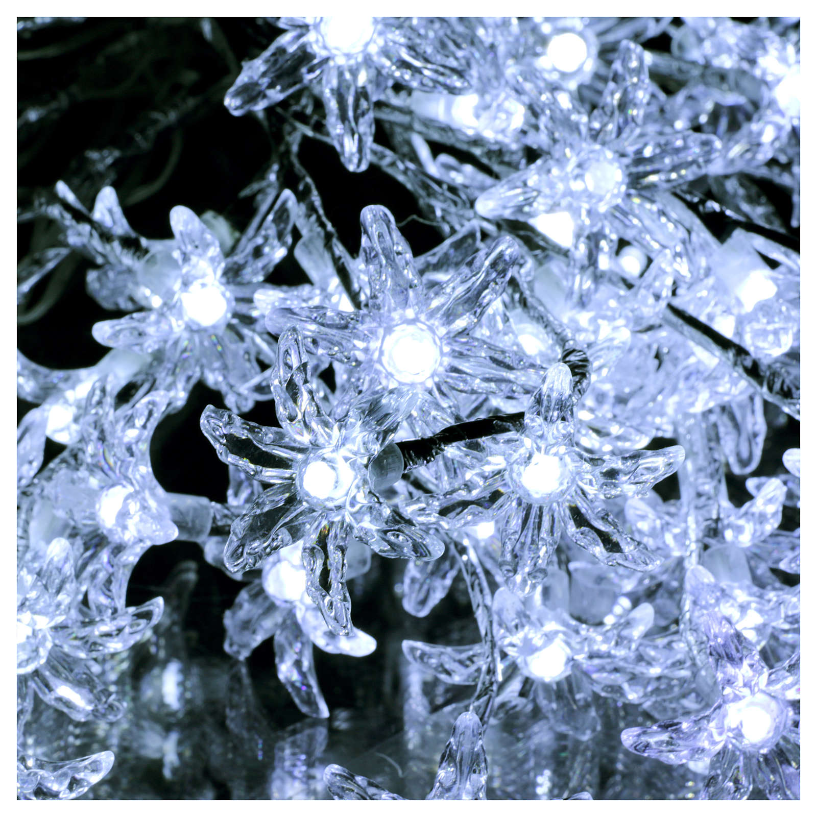 Transparent flower lights 100 leds cold white internal and | online