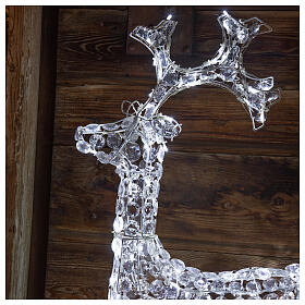 Diamond reindeer 150 leds cold white for external and internal use