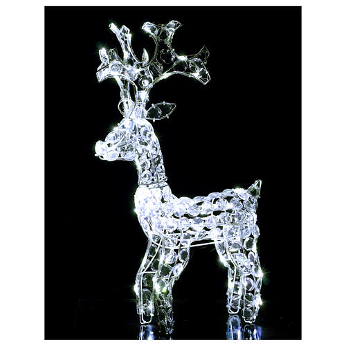 Diamond reindeer 80 leds ice white for external and internal use 2