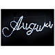 Illuminated writing Good Wishes 168 led lights cold white for internal and external use s2