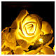 Grinalda de rosas luminosas LED brancas s2