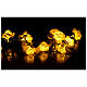 Light cable 20 leds white roses s3