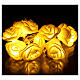 Light chain with roses 10 warm white leds for internal use s1