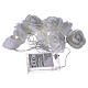 Light chain with roses 10 warm white leds for internal use s5