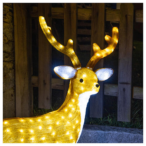 Illuminated Reindeer Height 1 meter 240 LED ice white indoor outdoor use 2