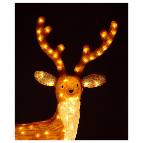 Christmas lights Brown Reindeer 240 warm coloured LEDs h. 1 m 4