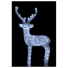 Luci di Natale: Illuminazione Renna Bianca 120 Led luce fredda  84 cm 