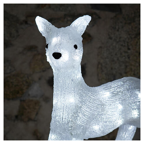 LED Fawn Holiday Decoration 60 LEDs cold light h. 50 cm 3