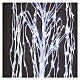 Albero luminoso Natalizio Salice piangente 120 cm 240 LED bianco freddo esterno s4