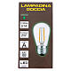 Green drop light bulb E27 for lamp holder chains s2