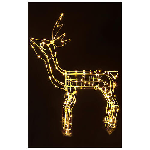 Lighted reindeer 62 cm, warm white electric powered indoor 220V 4