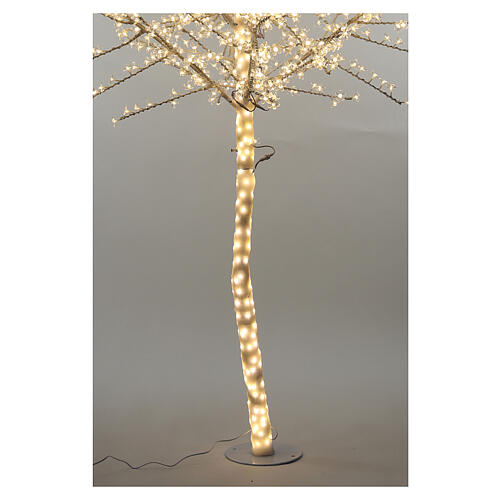Albero ciliegio luminoso 300 cm bianco caldo corrente 5
