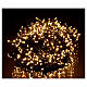 Christmas lights 1000 warm white LEDs external remote control 220V s1