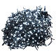 Holiday lights 1000 cold white LEDs external control device 220V s3