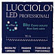 Catena luminosa lucciolone professionali 10 m 100 led blu esterno corrente s5