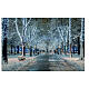 String lights 200 LEDs ultrabright white 40 strobe effect 20 m indoor outdoor electric s2