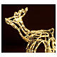 Lighted Reindeer with sleigh warm white 264 LEDs h 52 cm electric OUTDOOR s2