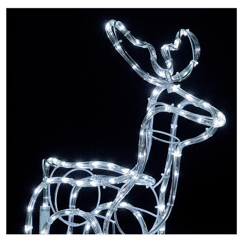 Renna natalizia bianco freddo 120 led h 55 cm corrente 3