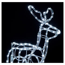 Renifer bożonarodzeniowy, zimna biel, 120 led, wys. 55 cm, prąd elektryczny