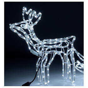 Rena com trenó decoração luminosa tubo LED 246 luzes branco frio, altura 52 cm, alimentação de corrente, PARA EXTERIOR