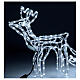 Rena com trenó decoração luminosa tubo LED 246 luzes branco frio, altura 52 cm, alimentação de corrente, PARA EXTERIOR s2