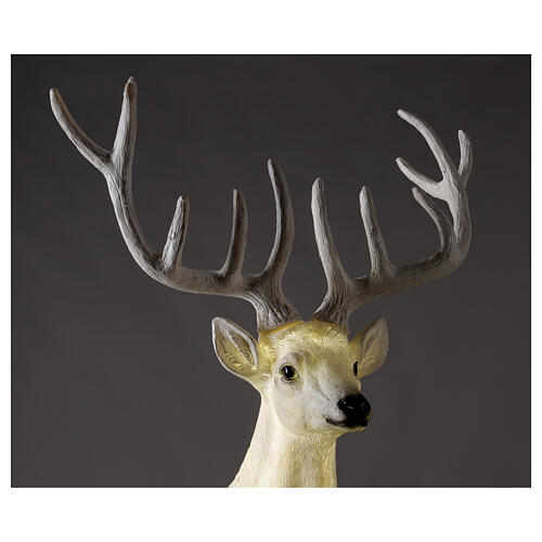 Lighted Deer Christmas decoration white for outdoors 105x85x65 cm 2