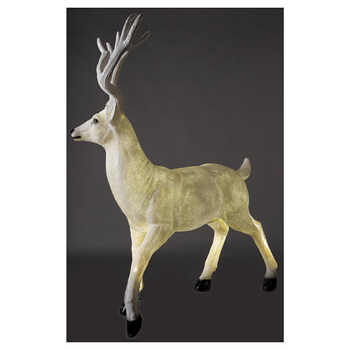 Lighted Deer Christmas decoration white for outdoors 105x85x65 cm 6