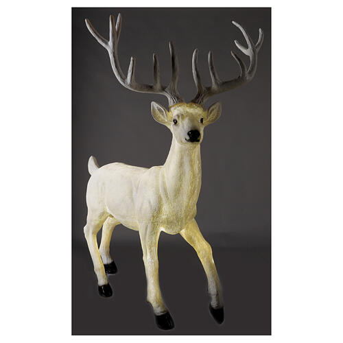 Lighted Deer Christmas decoration white for outdoors 105x85x65 cm 5