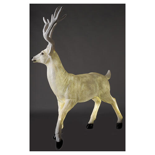 Luce Natale cervo LED bianco per esterni 105x85x65 cm 7