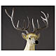 Lighted Deer Christmas decoration white for outdoors 105x85x65 cm s2