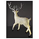 Lighted Deer Christmas decoration white for outdoors 105x85x65 cm s7