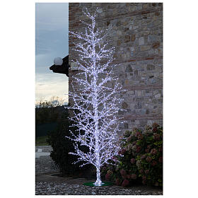 Árvore decoração luminosa LED branco frio, altura 460 cm, 2864 lâmpadas, PARA EXTERIOR