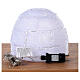 Acrylic igloo with 30 cold white LEDs indoor/outdoor 30 cm s4