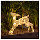 Fawn with 50 LED lights, warm white, h 16 in, indoor/outdoor s4