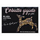 Cerbiattino luce 50 led luce calda h 70 cm interno esterno s8
