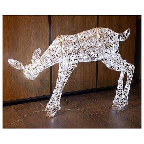 Decoração luminosa de Natal corça 180 lâmpadas LED branco frio, altura 72 cm, interior/exterior 4