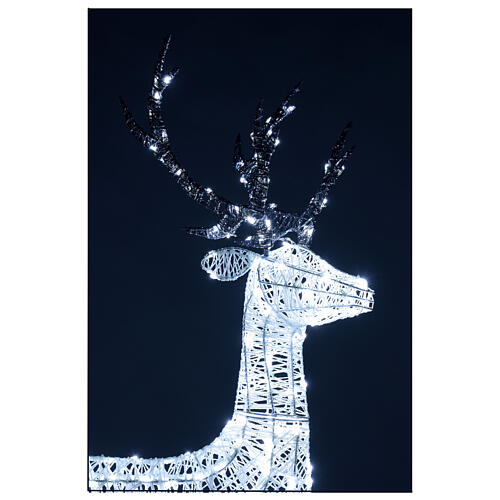 Deer Christmas light decoration 260 LEDs h 1,3 m indoor/outdoor 2