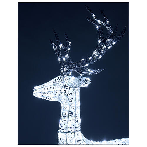 Deer Christmas light decoration 260 LEDs h 1,3 m indoor/outdoor 4