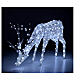 Decoração luminosa de Natal veado pastando 200 lâmpadas LED branco frio, altura 1 m, interior/exterior s2