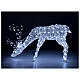 Decoração luminosa de Natal veado pastando 200 lâmpadas LED branco frio, altura 1 m, interior/exterior s4