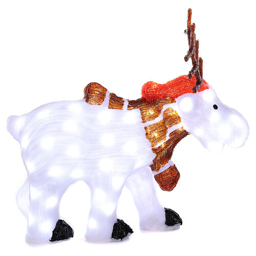 Acrylic white reindeer 80 cold white LEDs 55 cm indoor/outdoor 6