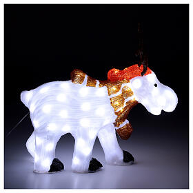 Decoração luminosa de Natal rena branca acrílico 80 lâmpadas LED branco frio, altura 55 cm, interior/exterior