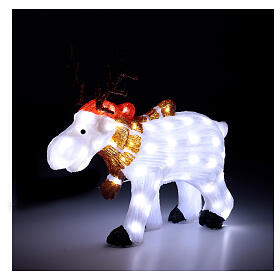 Decoração luminosa de Natal rena branca acrílico 80 lâmpadas LED branco frio, altura 55 cm, interior/exterior