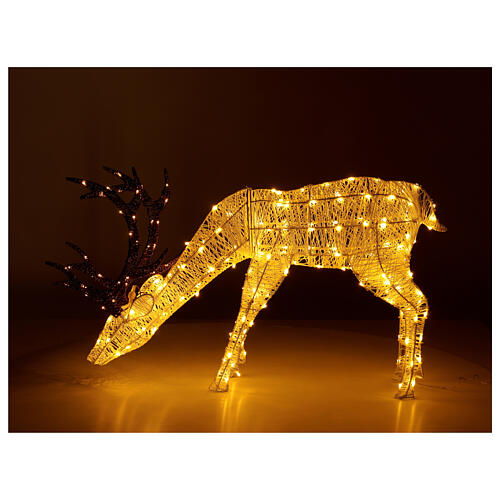 Decoração luminosa de Natal veado pastando 200 lâmpadas LED branco quente, altura 1 m, interior/exterior 1