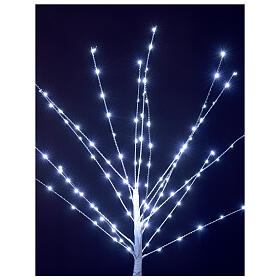 Baum mit 80 kalkweißen LEDs, 75 cm